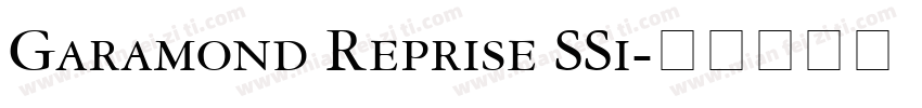 Garamond Reprise SSi字体转换